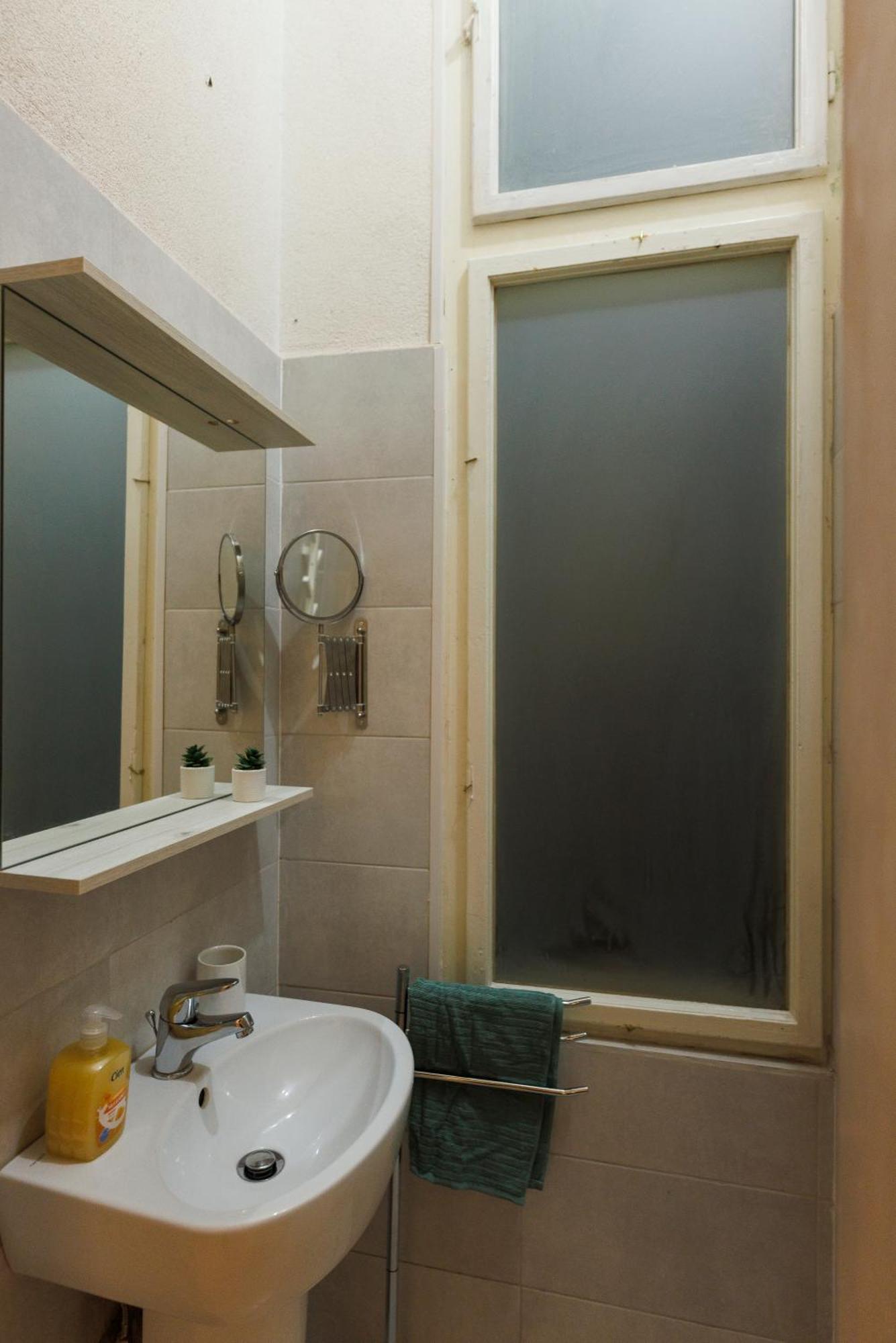 Victoriei Square Apartment Timisoara Ngoại thất bức ảnh